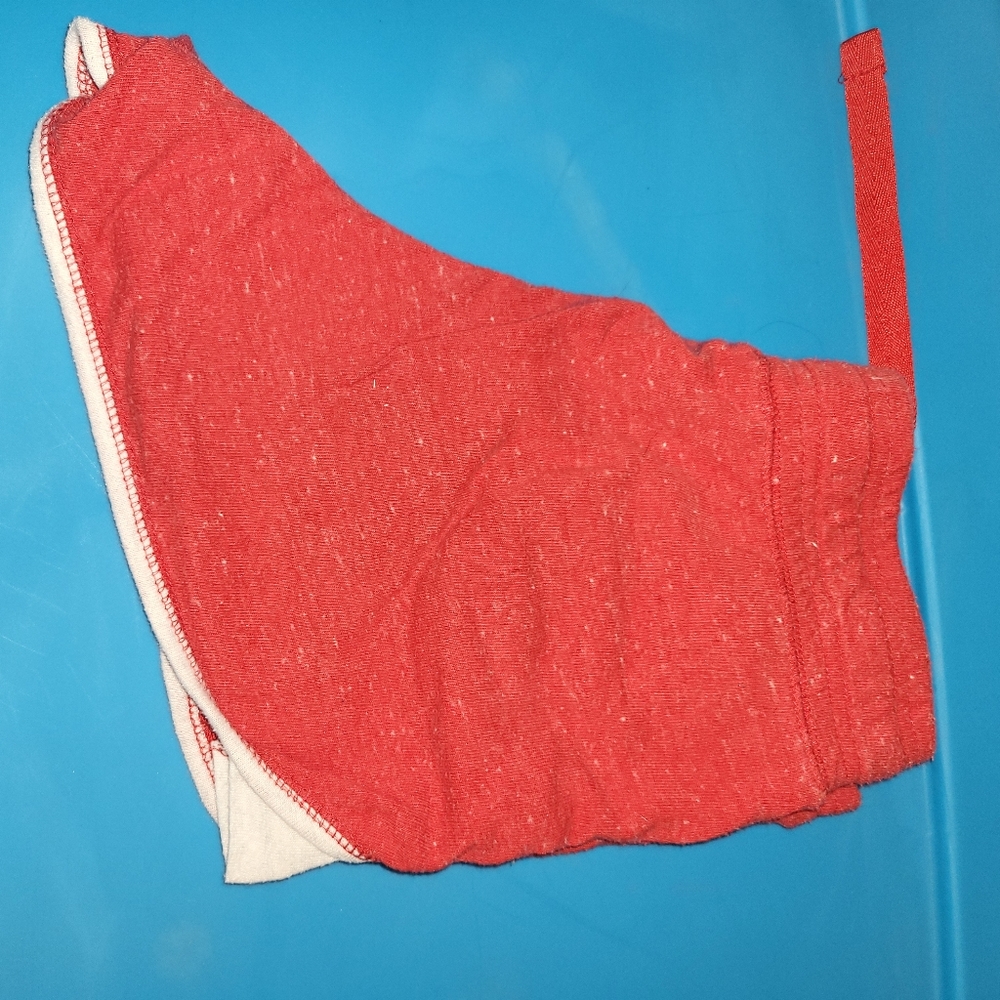 Women's short shorts